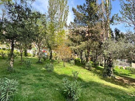 Elan №6115569 - Bakı, Nəsimi m., 3 otaqlı, 85 m², 2/9 mərtəbə
