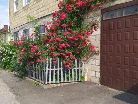 8 otaqlı həyət evi/bağ evi - Quba - 540 m²