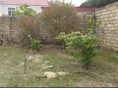 Torpaq - Saray q. - 5 sot