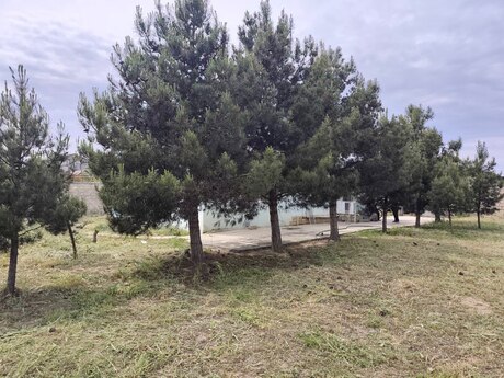 3 otaqlı həyət evi/bağ evi - Maştağa q. - 90 m²