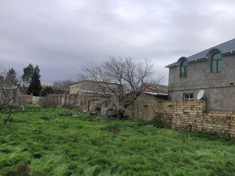 Torpaq - Mehdiabad q. - 6 sot