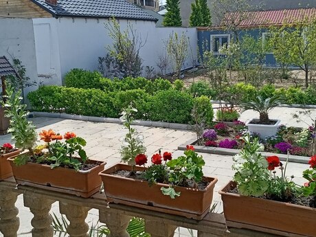 5 otaqlı həyət evi/bağ evi - Binəqədi q. - 285 m²