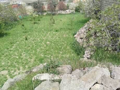 Torpaq - Mehdiabad q. - 4.8 sot