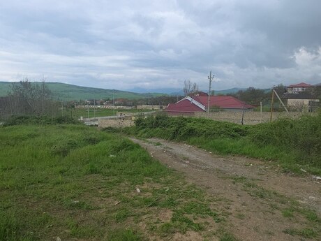 Torpaq - Şamaxı - 45 sot