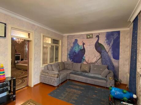 4 otaqlı həyət evi/bağ evi - Binəqədi q. - 145 m²