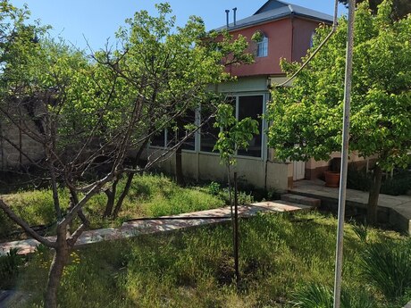 6 otaqlı həyət evi/bağ evi - Görədil q. - 220 m²