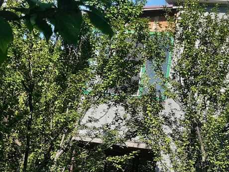 6 otaqlı həyət evi/bağ evi - Göyçay - 200 m²