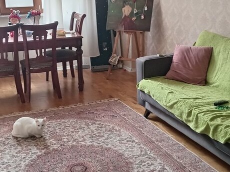 2 otaqlı yeni tikili - Qara Qarayev m. - 55 m²