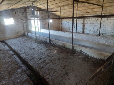 Obyekt - Məmmədli q. - 1200 m²