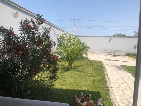 6 otaqlı həyət evi/bağ evi - Görədil q. - 280 m²