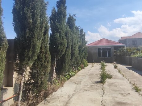 Torpaq - Mehdiabad q. - 8 sot