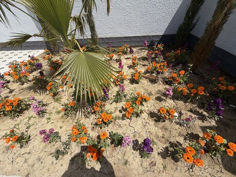 3 otaqlı həyət evi/bağ evi - Məmmədli q. - 110 m²