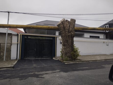 3 otaqlı həyət evi/bağ evi - Şəki - 100 m²