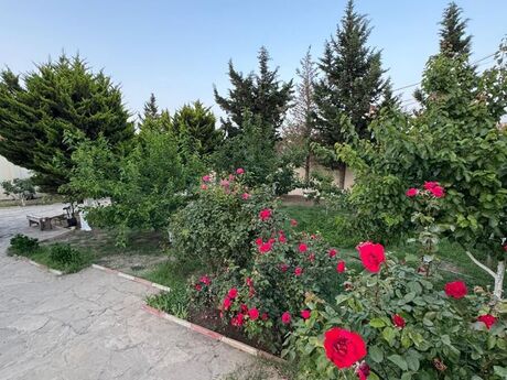 5 otaqlı həyət evi/bağ evi - Novxanı q. - 300 m²