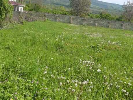 Torpaq - Abşeron r. - 11 sot