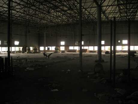 Obyekt - Buzovna q. - 1800 m²