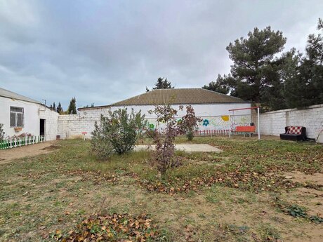 2 otaqlı həyət evi/bağ evi - Albalılıq q. - 80 m²