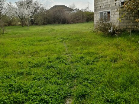 4 otaqlı həyət evi/bağ evi - Xaçmaz - 295 m²