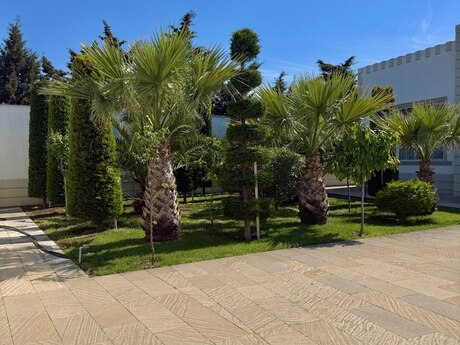 5 otaqlı həyət evi/bağ evi - Mərdəkan q. - 270 m²