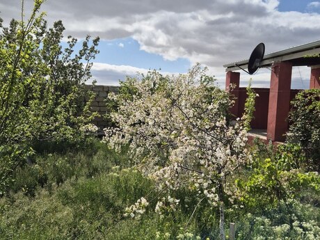 3 otaqlı həyət evi/bağ evi - Sumqayıt - 110 m²
