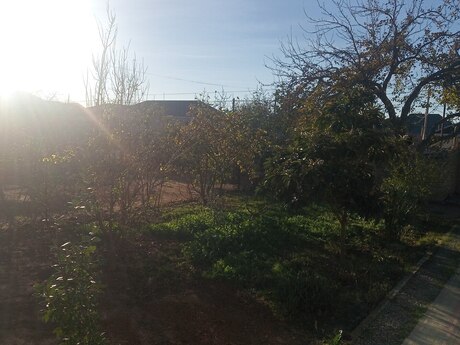 Torpaq - Qala q. - 4 sot
