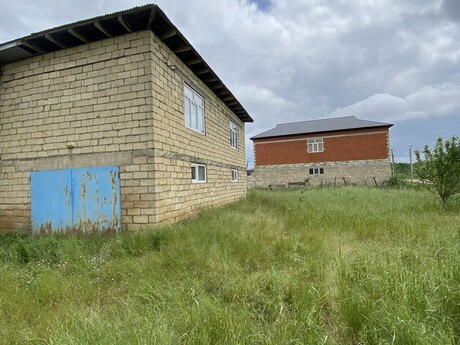 8 otaqlı həyət evi/bağ evi - Masallı - 250 m²
