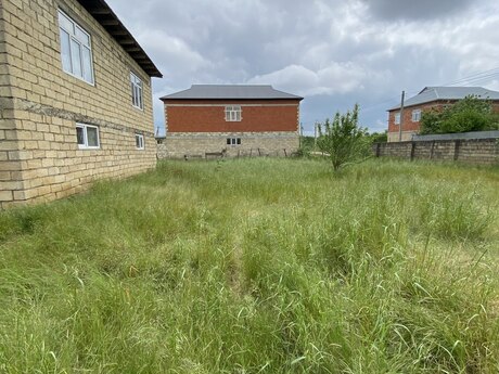 8 otaqlı həyət evi/bağ evi - Masallı - 250 m²