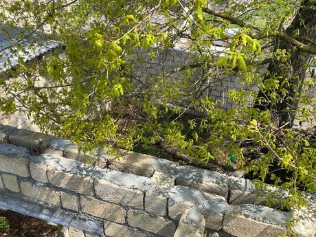 4 otaqlı həyət evi/bağ evi - Xaçmaz - 60 m²
