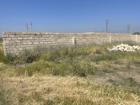 Torpaq - İmişli - 20 sot