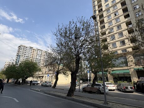 4-room new-build apartment for sale in East Park, 215 m², 602 000 AZN, photo 5 / 7