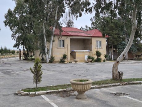 Obyekt - Neftçala - 12000 m²