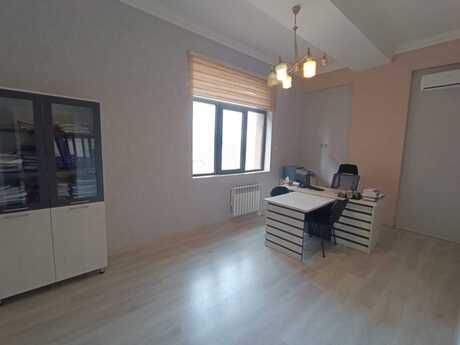 3-комн. офис - м. Низами - 110 м²