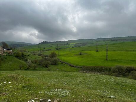 Torpaq - Şamaxı - 12 sot
