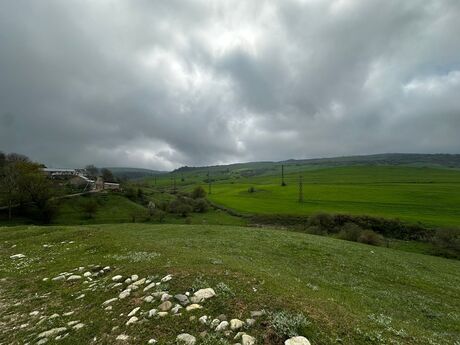 Torpaq - Şamaxı - 12 sot