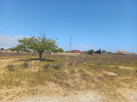 Torpaq - Qala q. - 3.8 sot