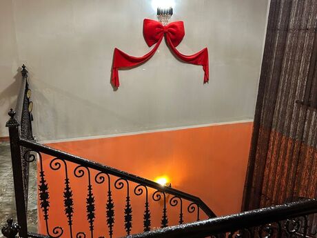 5 otaqlı həyət evi/bağ evi - Gəncə - 390 m²
