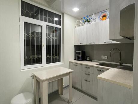 Obyekt - Elmlər Akademiyası m. - 40 m²