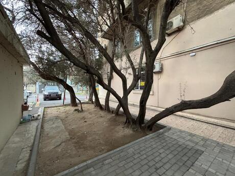 3 otaqlı köhnə tikili - Nizami m. - 100 m²