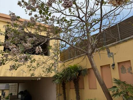 14 otaqlı həyət evi/bağ evi - Novxanı q. - 750 m²