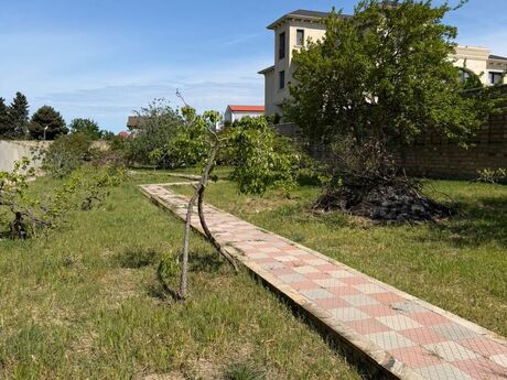 14 otaqlı həyət evi/bağ evi - Novxanı q. - 750 m²