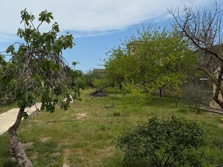 14 otaqlı həyət evi/bağ evi - Novxanı q. - 750 m²