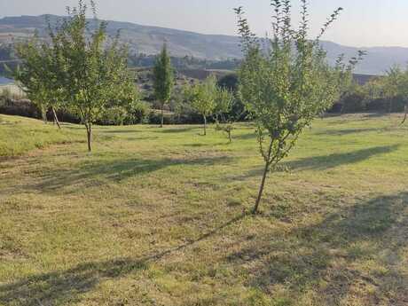 Torpaq - İsmayıllı - 18 sot