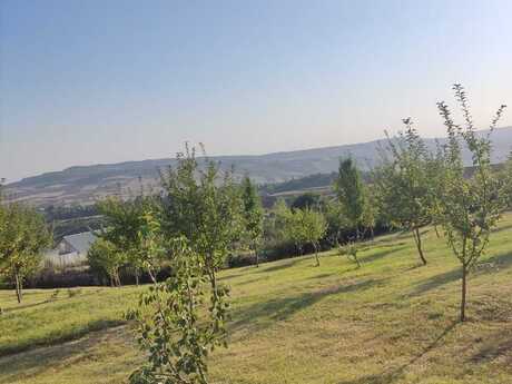 Torpaq - İsmayıllı - 18 sot