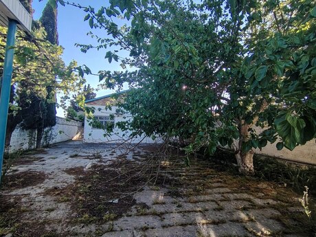 4 otaqlı həyət evi/bağ evi - Albalılıq q. - 150 m²