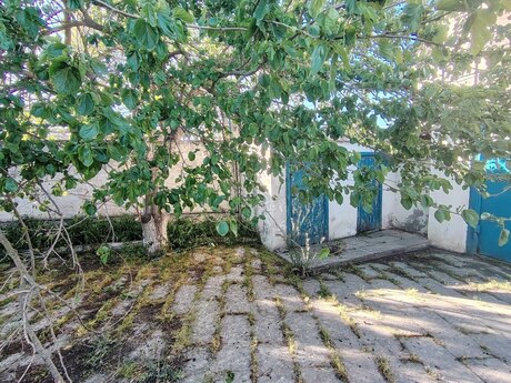 4 otaqlı həyət evi, 150 m², Albalılıq: 133 500 ₼ 5