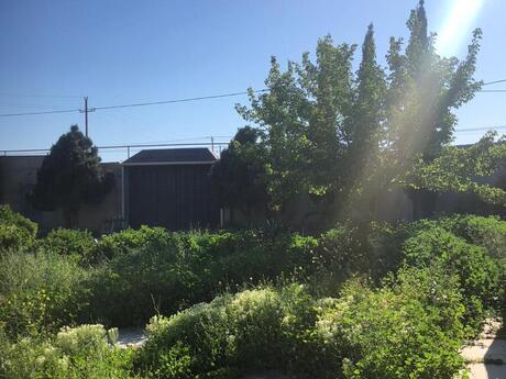 2 otaqlı həyət evi/bağ evi - Qala q. - 40 m²