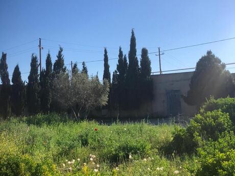 2 otaqlı həyət evi/bağ evi - Qala q. - 40 m²