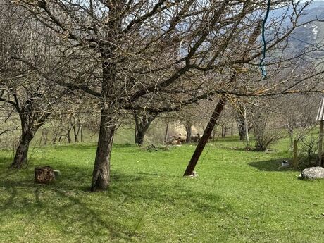 6 otaqlı həyət evi/bağ evi - Lerik - 120 m²