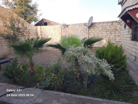 5 otaqlı həyət evi/bağ evi - Yevlax - 200 m²