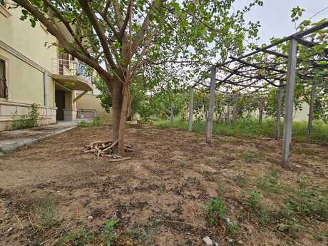 5 otaqlı həyət evi/bağ evi - Novxanı q. - 260 m²